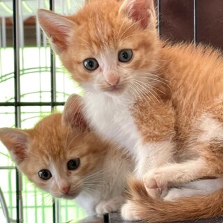 M1022＆M1023の可愛い兄弟♪