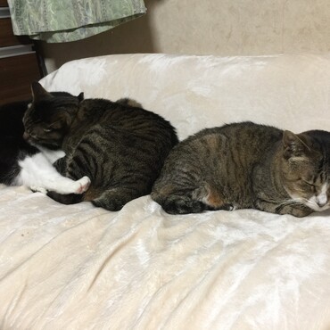 過ごしやすい陽気に寄り添う仲良し家族(*^_^*)