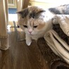 の写真