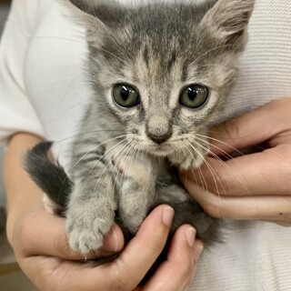 里親さま決まりました☆