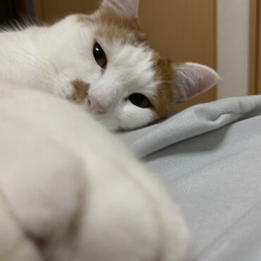 最新のましろです。元気です(^^)