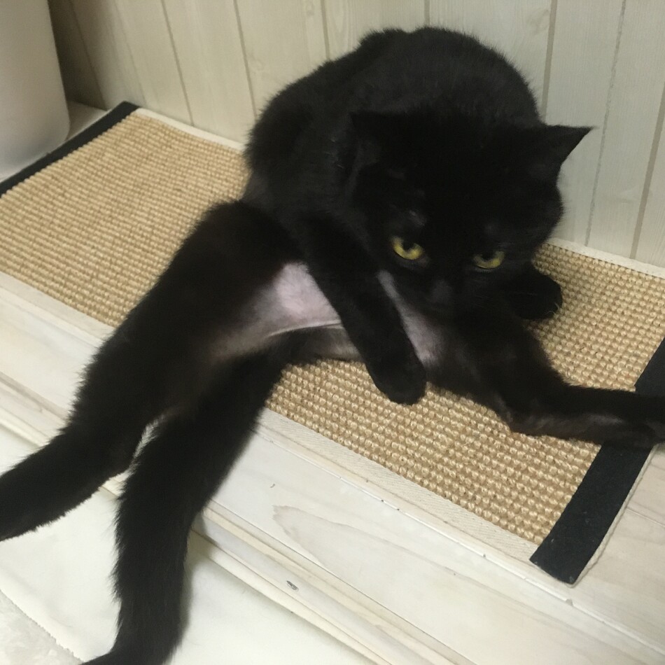 クラハドールのカバー写真