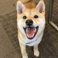 まる