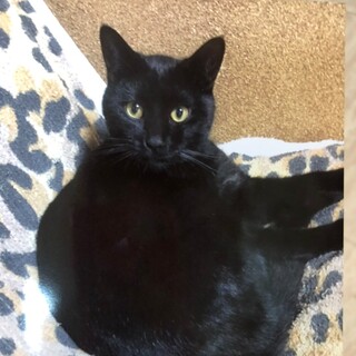 急募！近隣住人の悪質嫌がらせで生活が危ぶまれてます