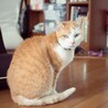お行儀がとても良いんです