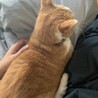ママにべったり！