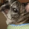 ituko