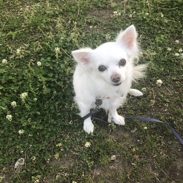 奇跡的可愛い表情を見せるここ