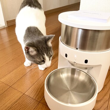 ちょっと痩せたほうがいいですねーと獣医さんに言われ、自動給餌機を導入。太っているというより体格が大きいだけのような気もする。