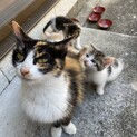 保護しました！