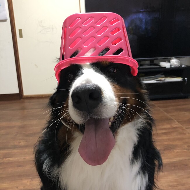 h0kusinのカバー写真