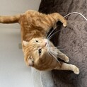 急募です！