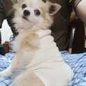 家族ができました。ありがとうございました。
