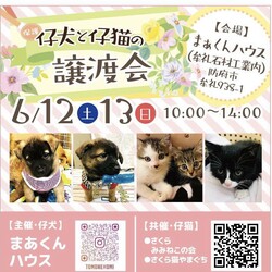 子犬と子猫の譲渡会を開催します