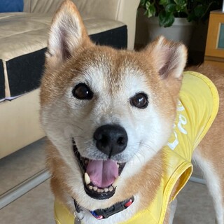 もう大丈夫だよ。安心してね！あさちゃん