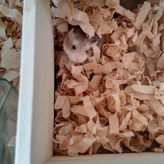 ありがとうございました!(´▽｀)