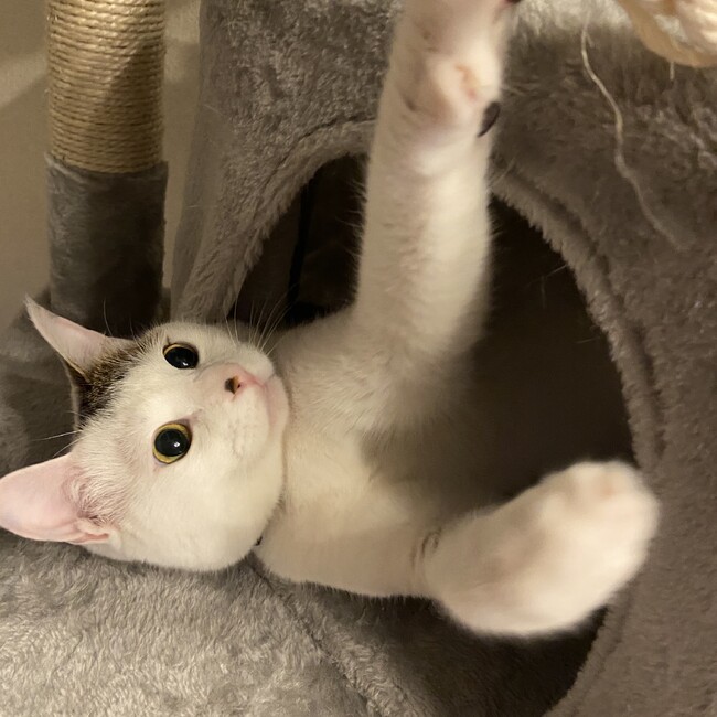 tdpのカバー写真
