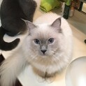 ララちゃんと穏やかな時間を過ごしませんか?