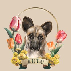 Luluちゃん、家族決定！