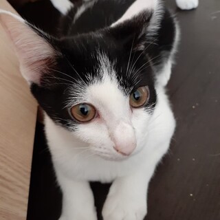 甘えん坊で小柄な女の子‪♪