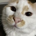 おっとり性格の男の子♪
