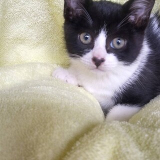 お鼻がハートの女の子=(^♡^)=