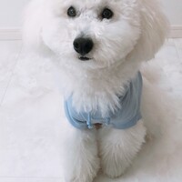 むぎ