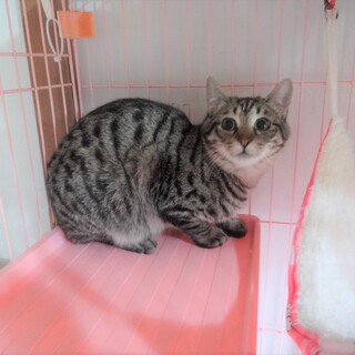 まだ幼さの残る男の子☆生後10か月