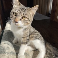 Ruca