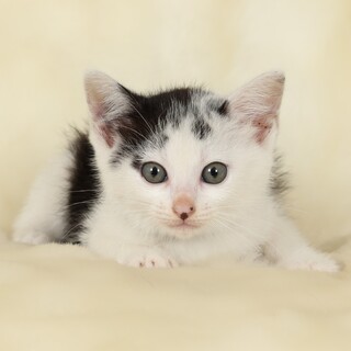 生後3週間の男の子