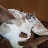 ミュン