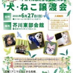 市民ボランティアアニマルはにまる高槻による犬・猫譲渡会