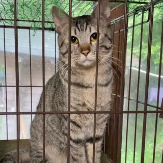 人懐こく遊ぶの大好き^_^僕達と家族になって下さい