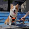若さいっぱい！元気いっぱい！甘えん坊ぽーたくん☆ サムネイル2