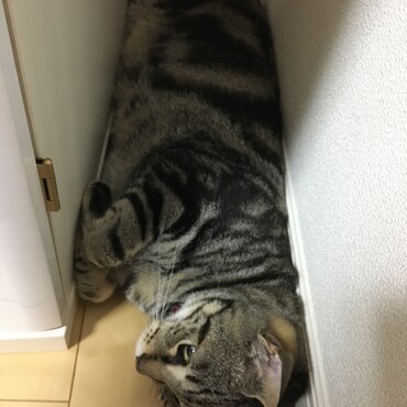 長四角がかわいいかいちゃん♡