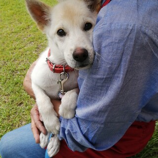 控えめ美人なバンビちゃん優しい方待ってます