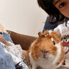 の写真