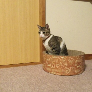 の写真