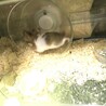 全力ダッシュ！