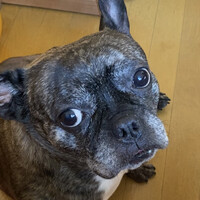 ふーちゃん
