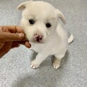 里親さま決まりました☆