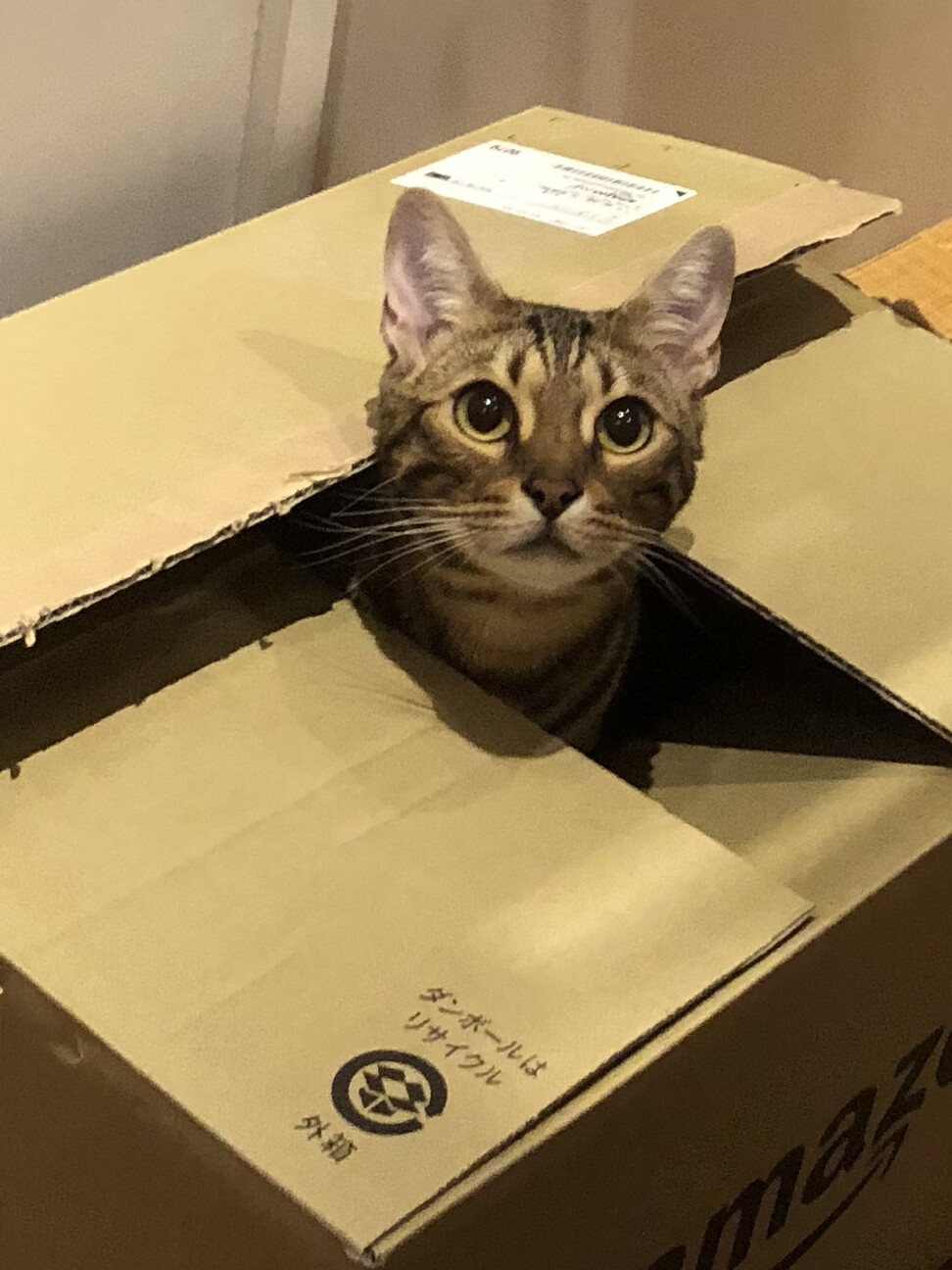 うずら