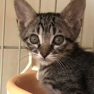 元気いっぱいのわんぱくこぞう　そう君