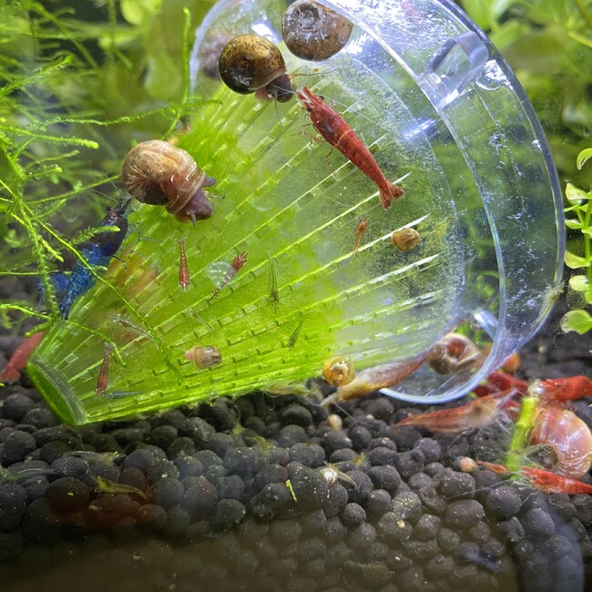 ゆーしゃ。のカバー写真