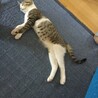 の写真