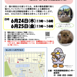 中止!→保護猫♡認定団体譲渡会を開催します!