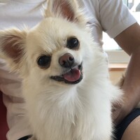 こもも