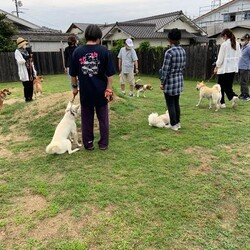 総社市AWAしつけ教室 <雨天中止>