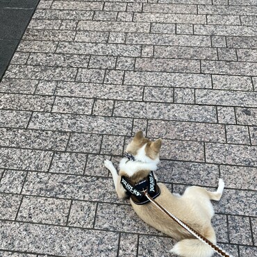 の写真
