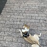 の写真